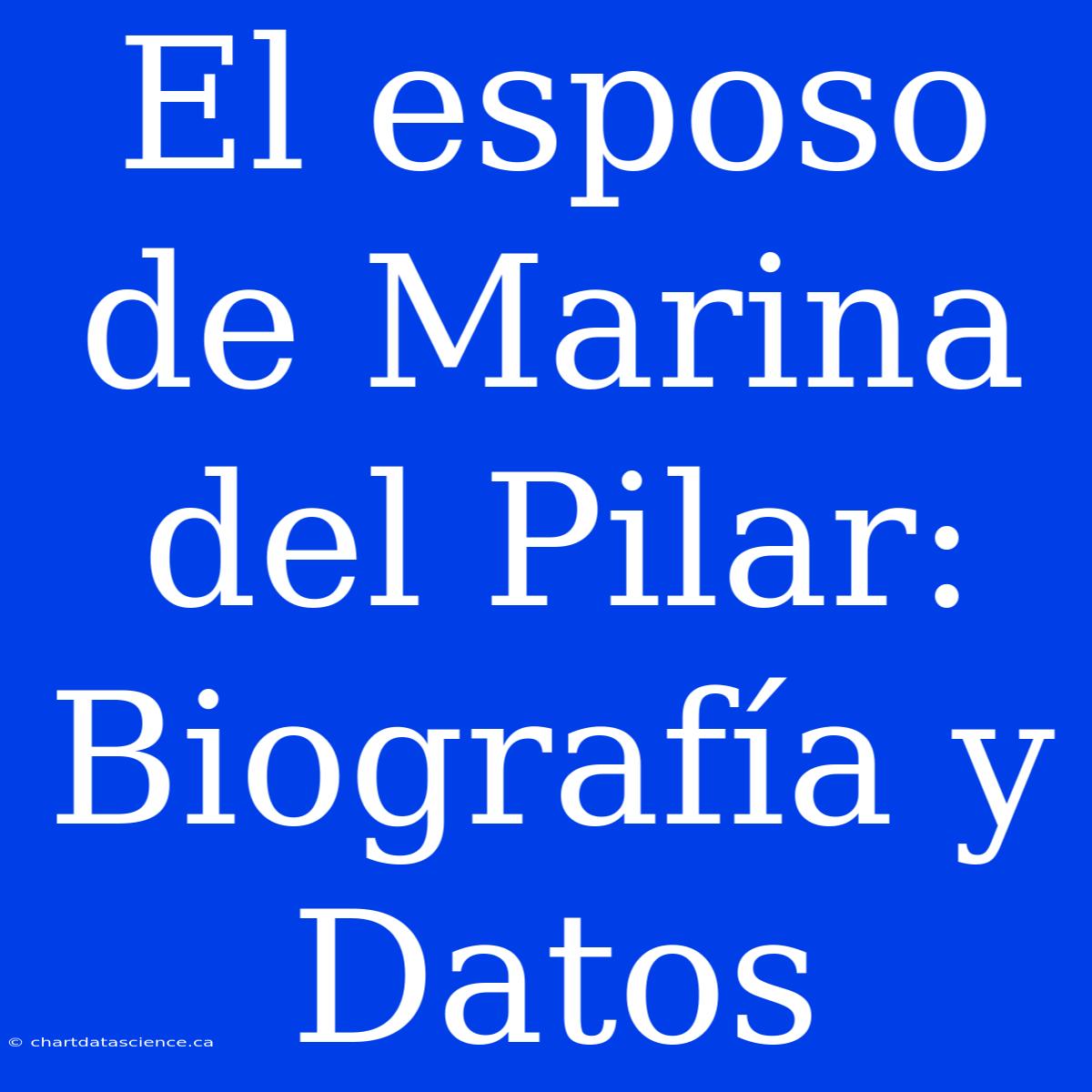 El Esposo De Marina Del Pilar: Biografía Y Datos