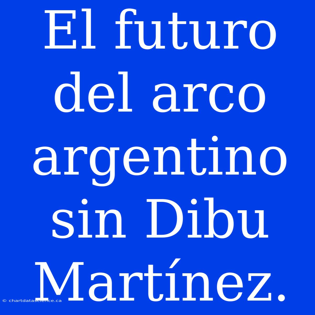 El Futuro Del Arco Argentino Sin Dibu Martínez.