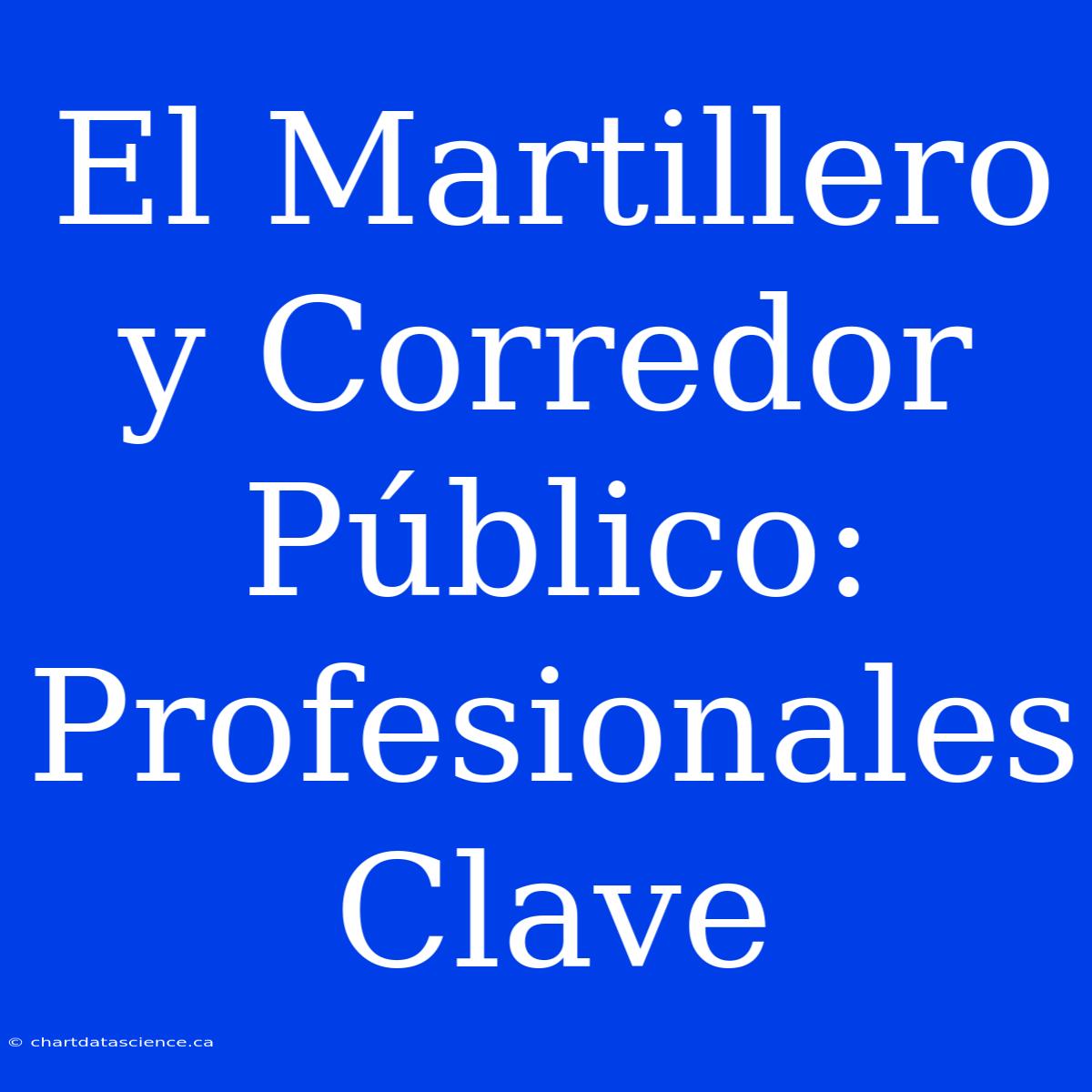 El Martillero Y Corredor Público:  Profesionales Clave