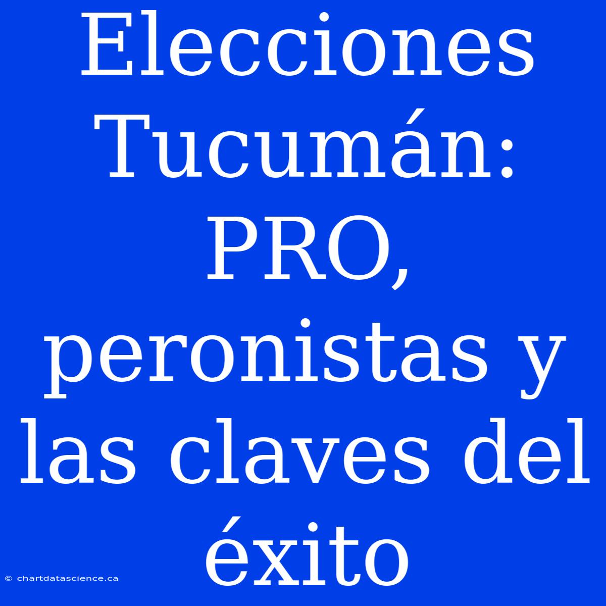 Elecciones Tucumán: PRO, Peronistas Y Las Claves Del Éxito