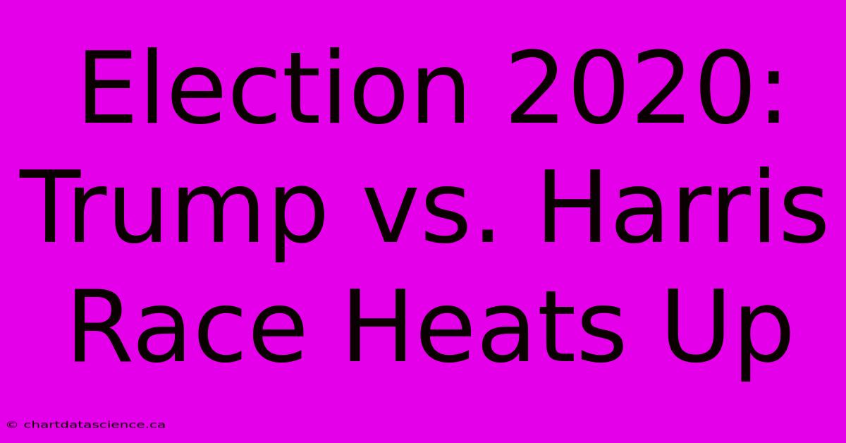 Election 2020: Trump Vs. Harris Race Heats Up 