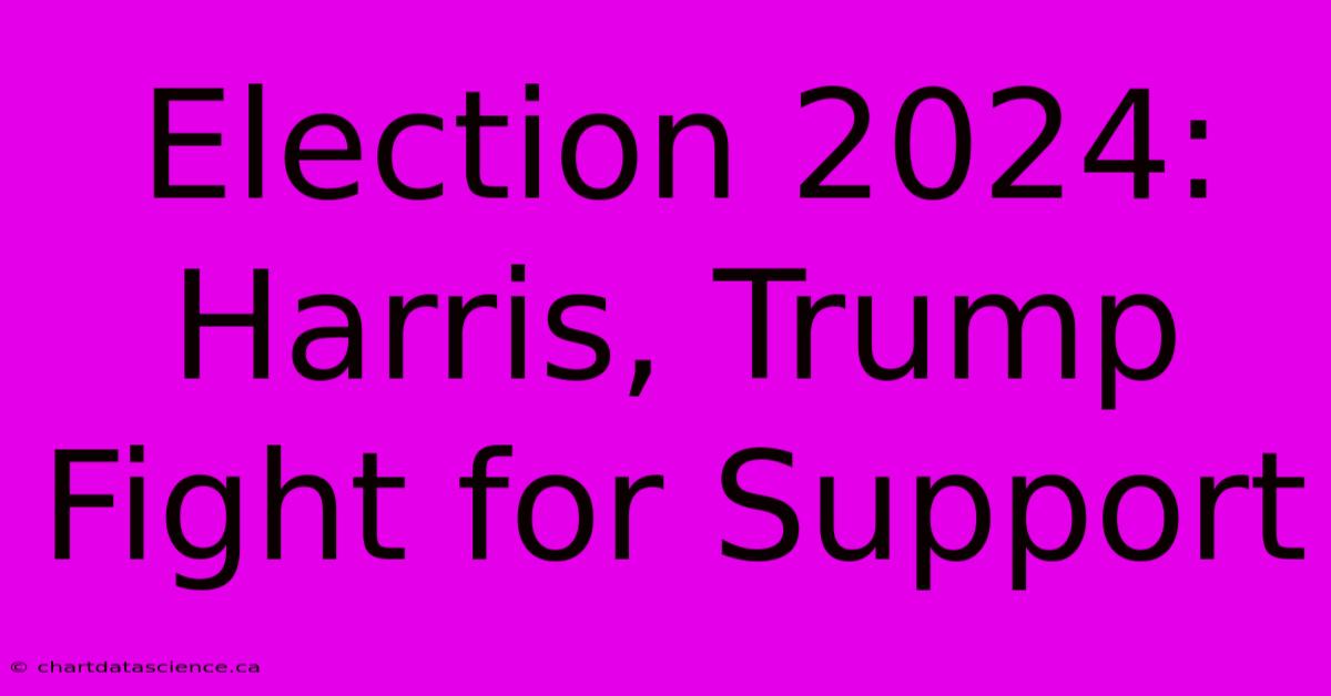 Election 2024: Harris, Trump Fight For Support