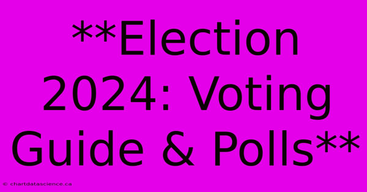 **Election 2024: Voting Guide & Polls**