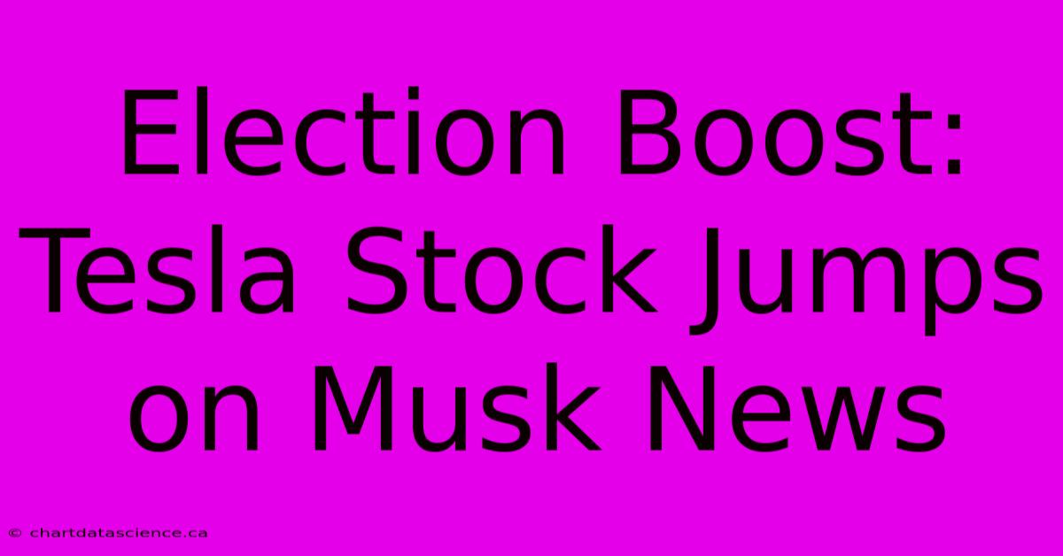 Election Boost: Tesla Stock Jumps On Musk News