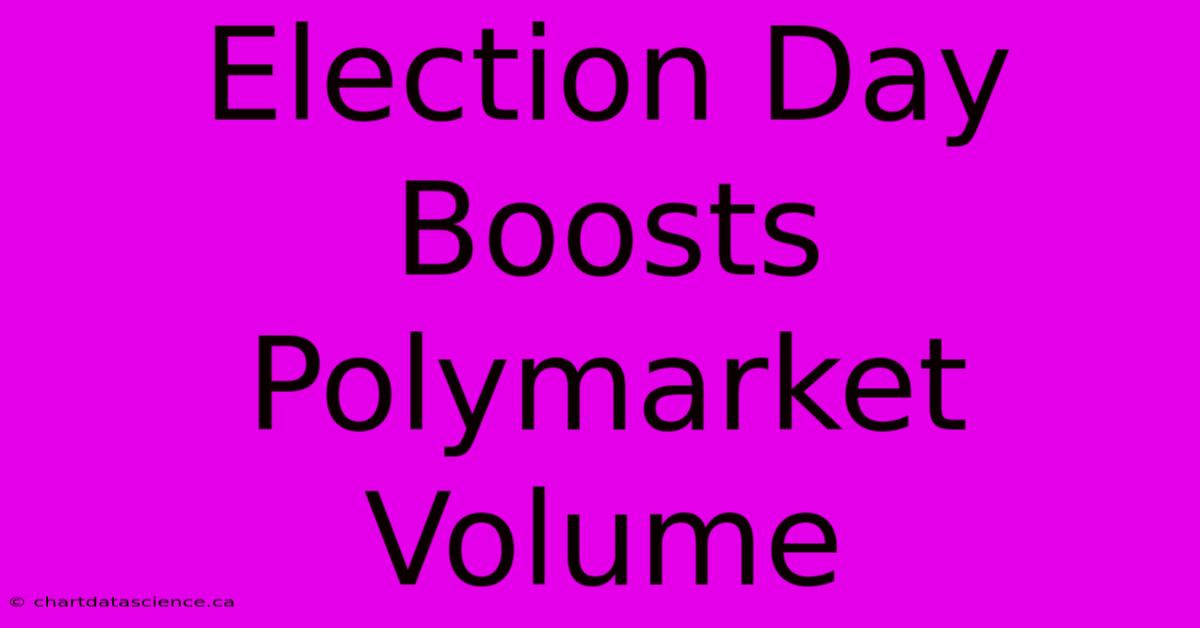 Election Day Boosts Polymarket Volume 