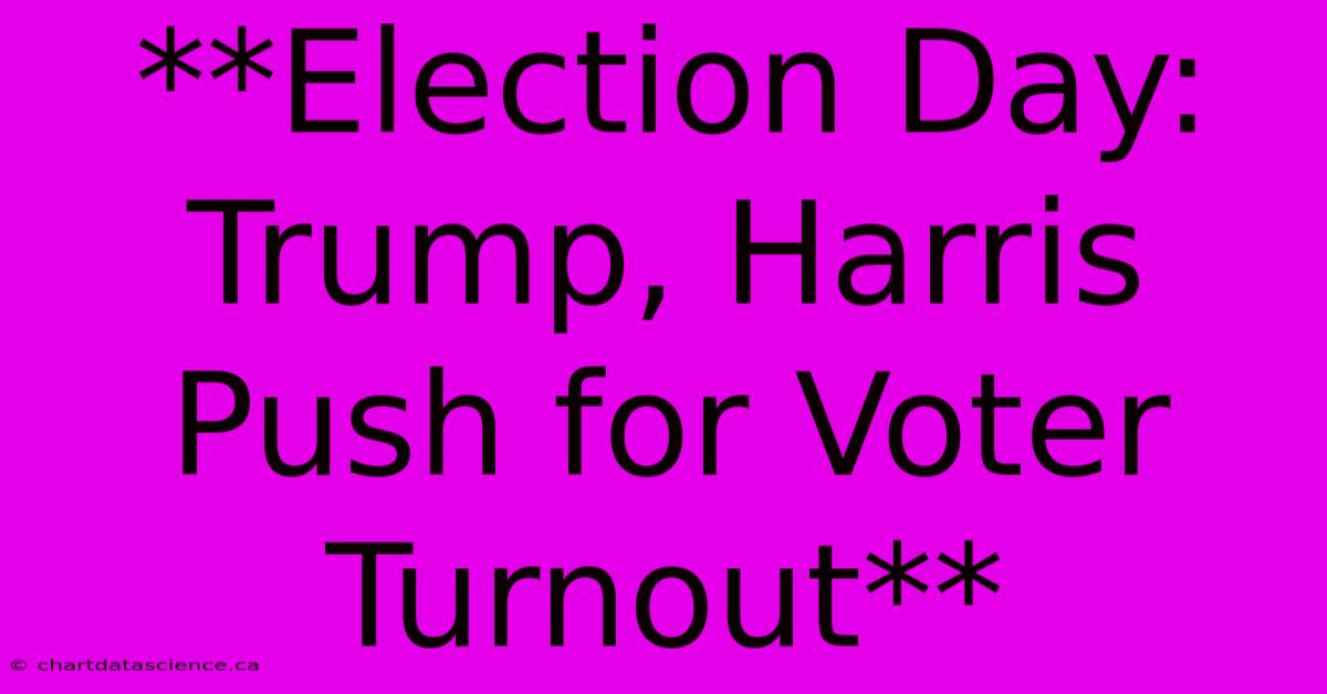 **Election Day: Trump, Harris Push For Voter Turnout** 