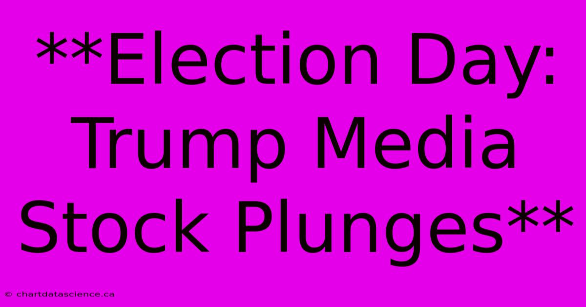 **Election Day: Trump Media Stock Plunges**