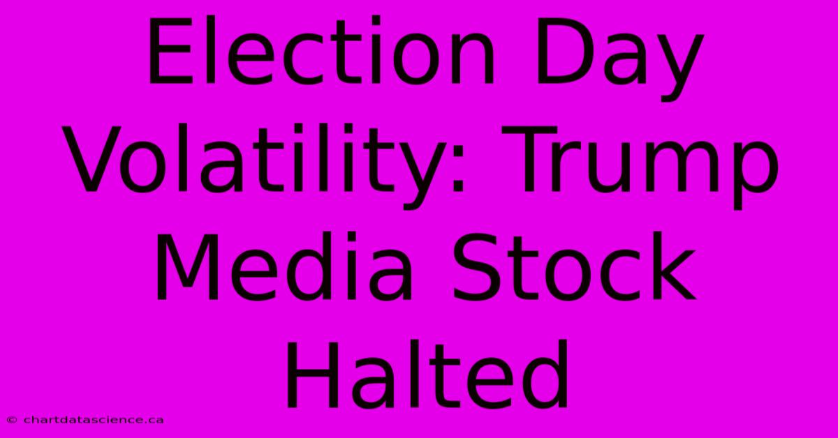 Election Day Volatility: Trump Media Stock Halted