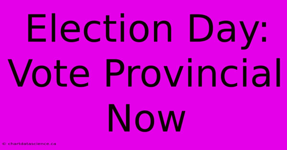 Election Day: Vote Provincial Now