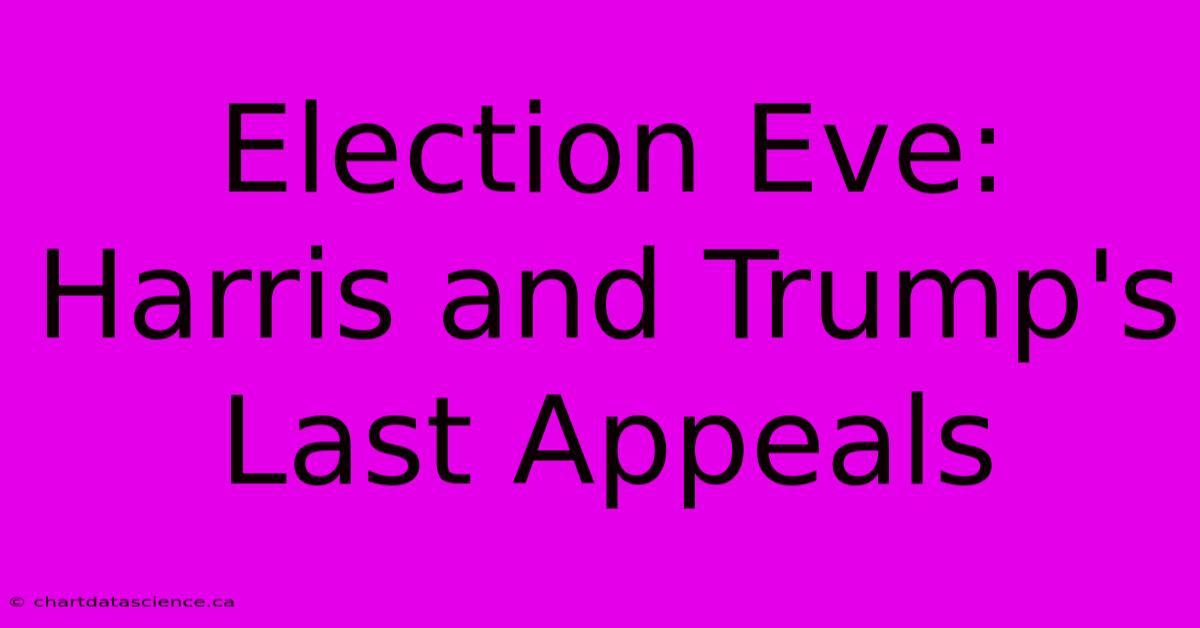 Election Eve: Harris And Trump's Last Appeals 