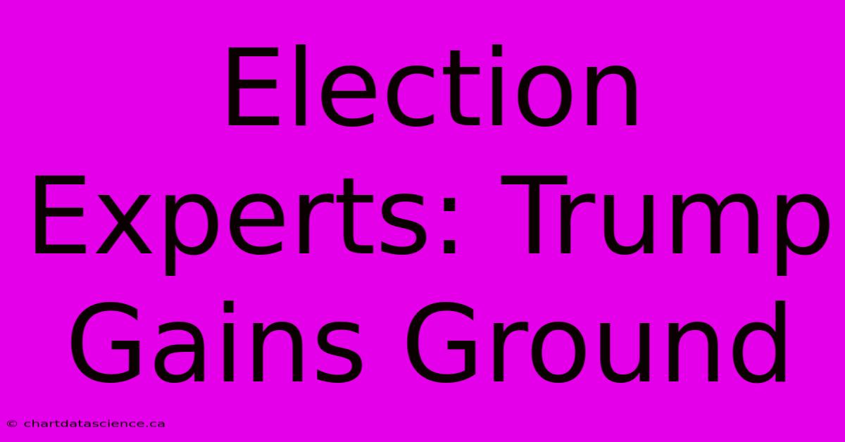 Election Experts: Trump Gains Ground