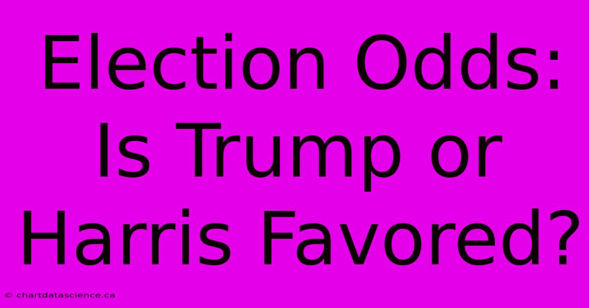 Election Odds: Is Trump Or Harris Favored?