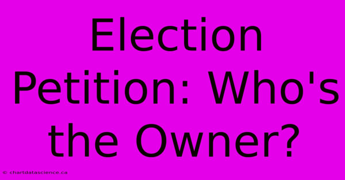 Election Petition: Who's The Owner?