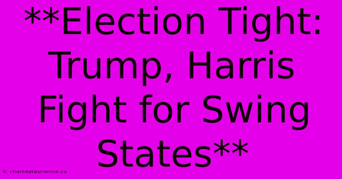 **Election Tight: Trump, Harris Fight For Swing States**