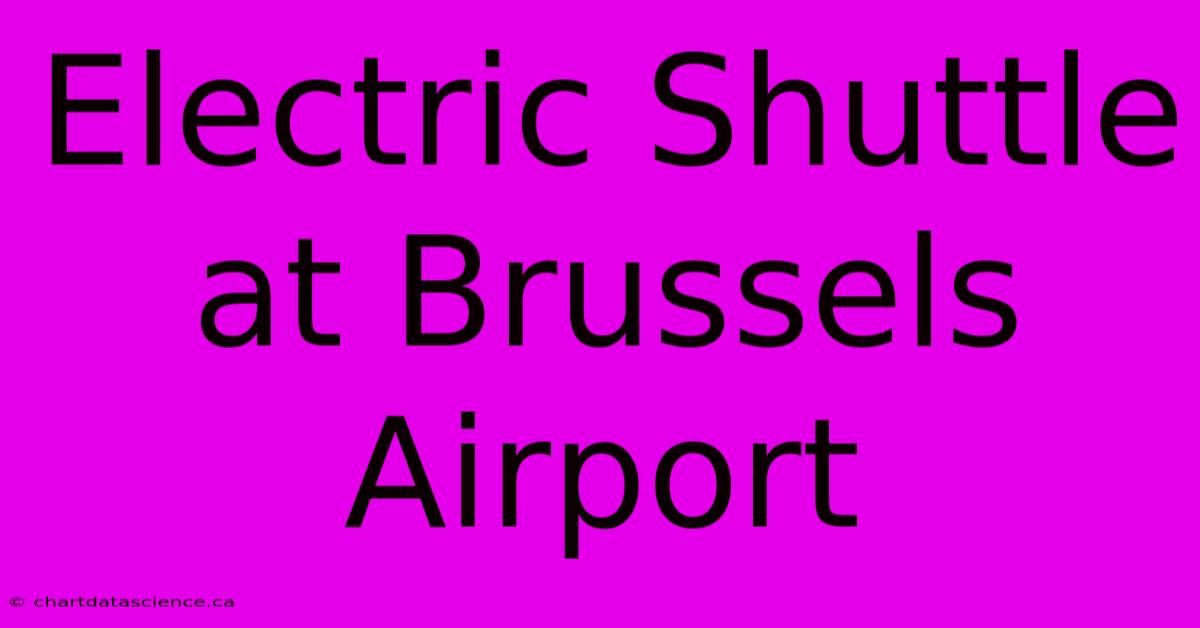 Electric Shuttle At Brussels Airport