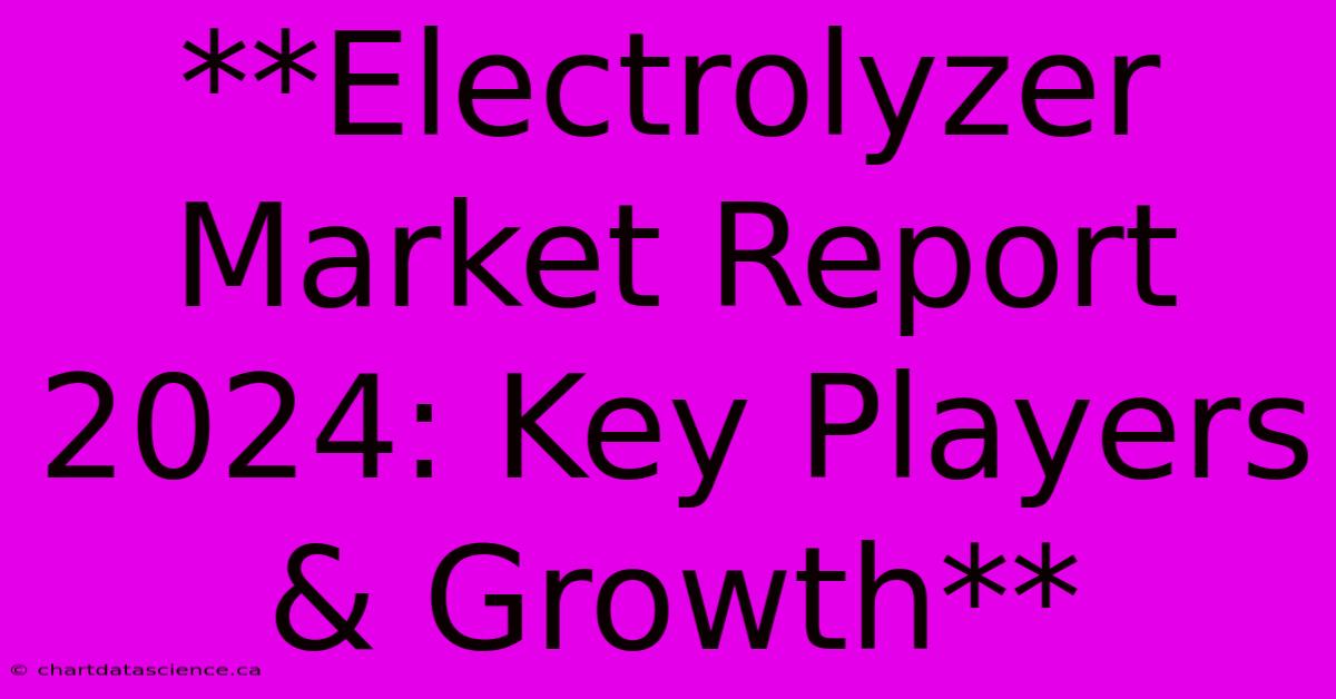 **Electrolyzer Market Report 2024: Key Players & Growth**