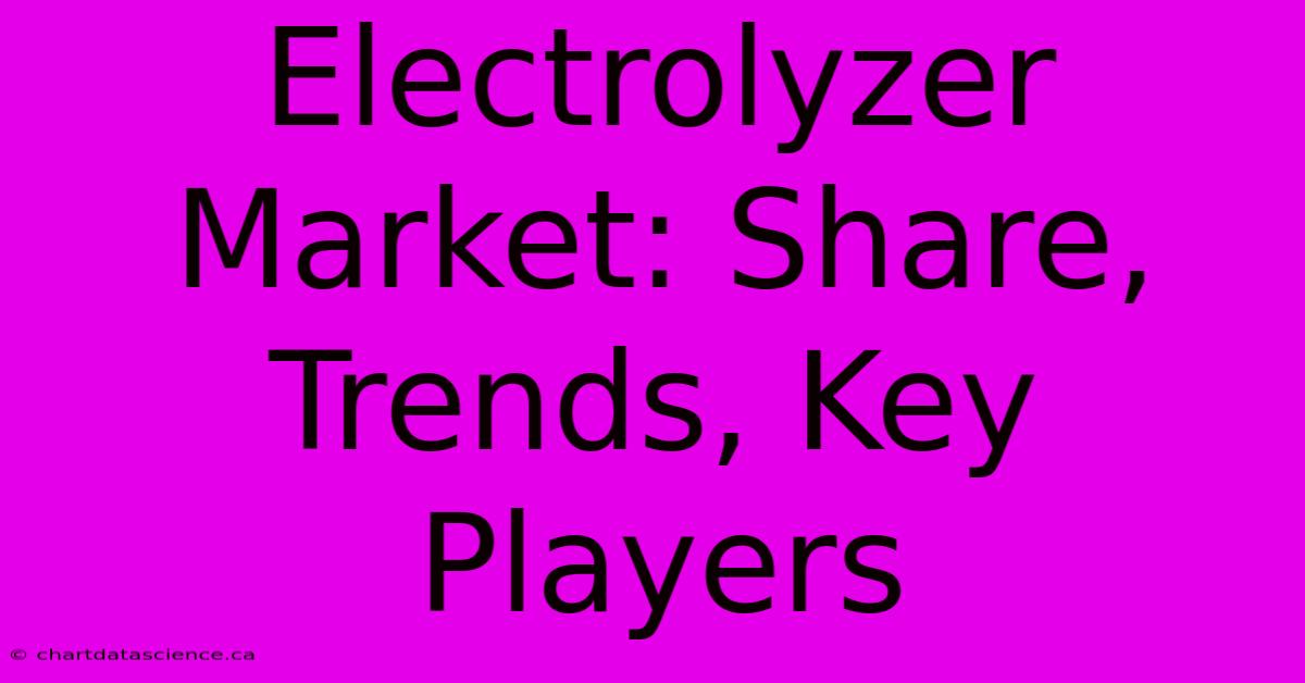 Electrolyzer Market: Share, Trends, Key Players