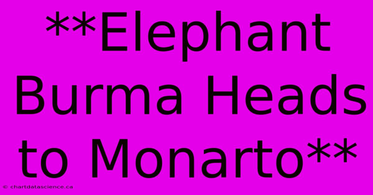 **Elephant Burma Heads To Monarto** 