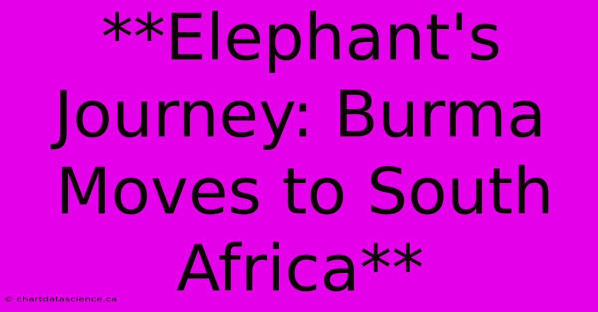 **Elephant's Journey: Burma Moves To South Africa**