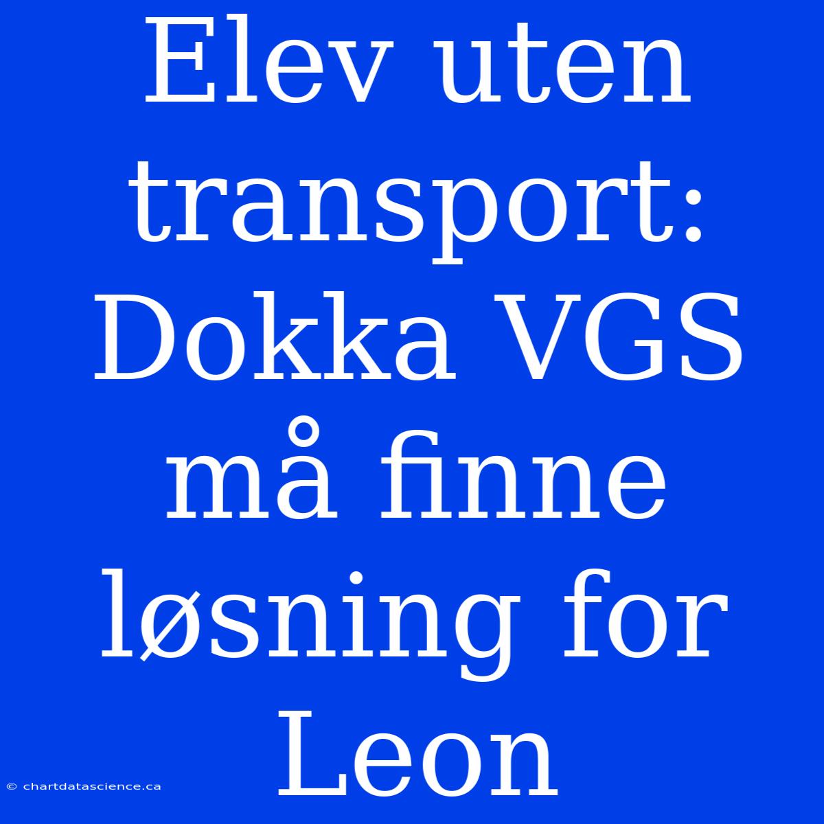 Elev Uten Transport: Dokka VGS Må Finne Løsning For Leon