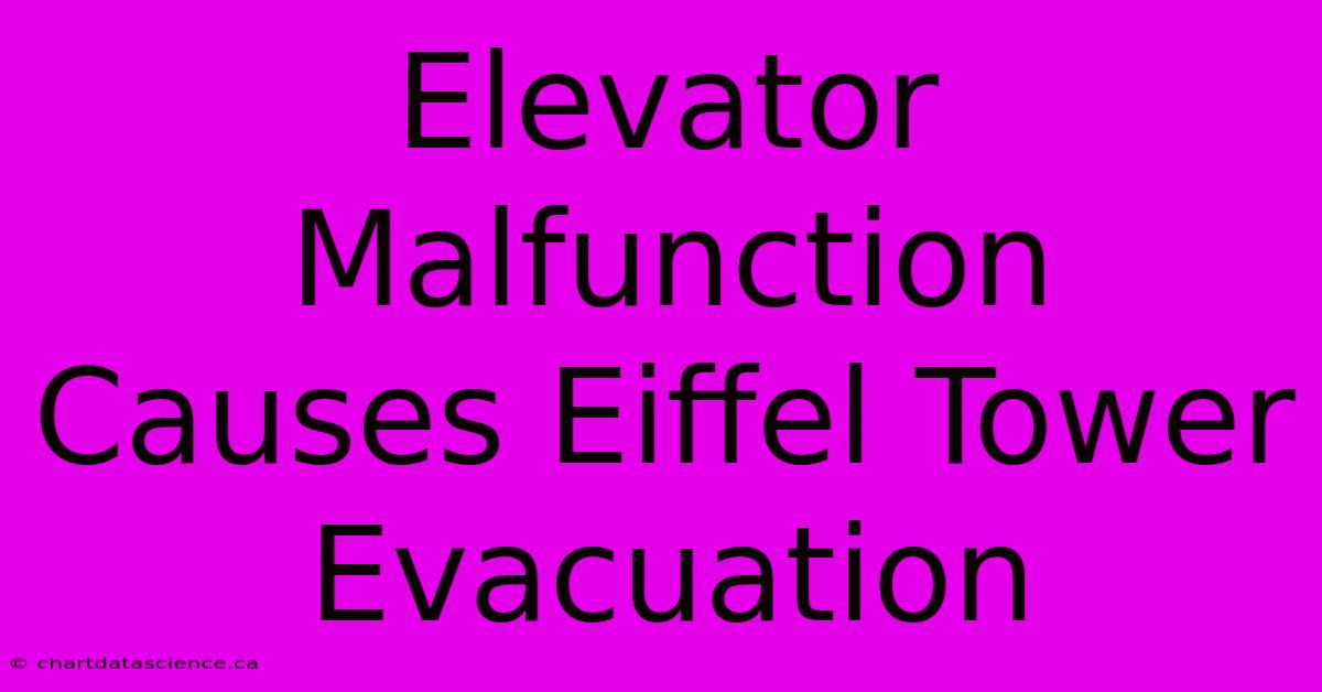 Elevator Malfunction Causes Eiffel Tower Evacuation