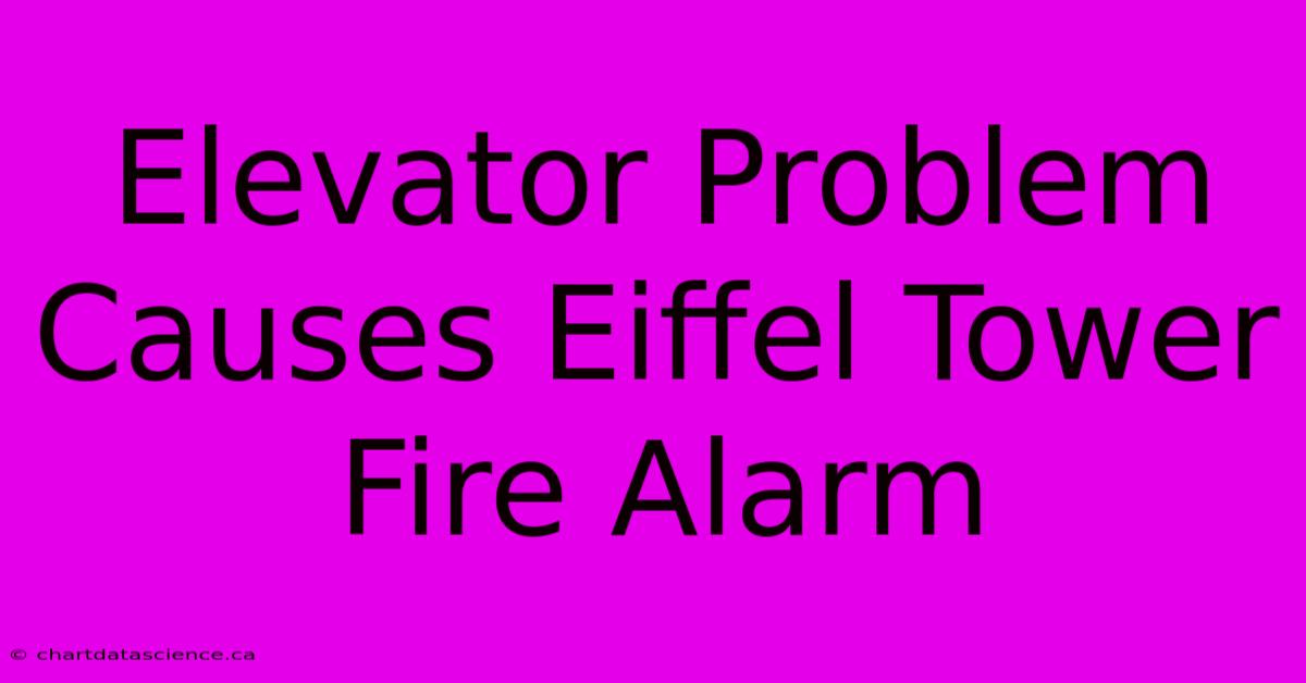 Elevator Problem Causes Eiffel Tower Fire Alarm