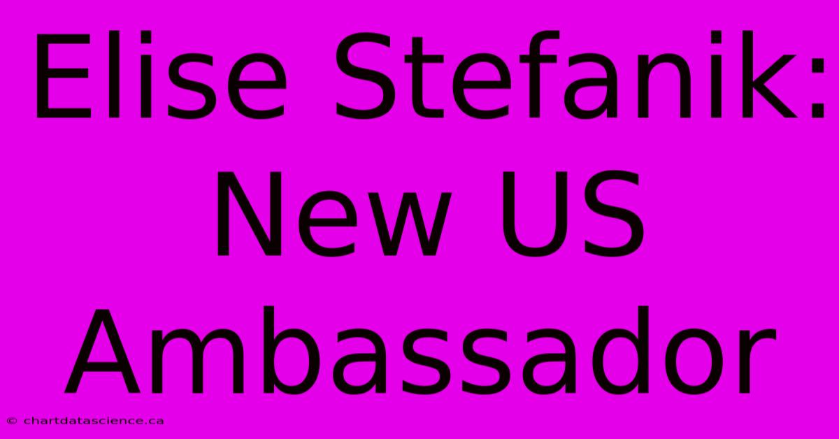 Elise Stefanik: New US Ambassador 