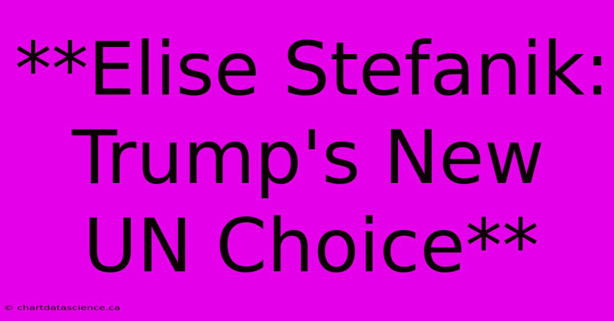 **Elise Stefanik: Trump's New UN Choice**