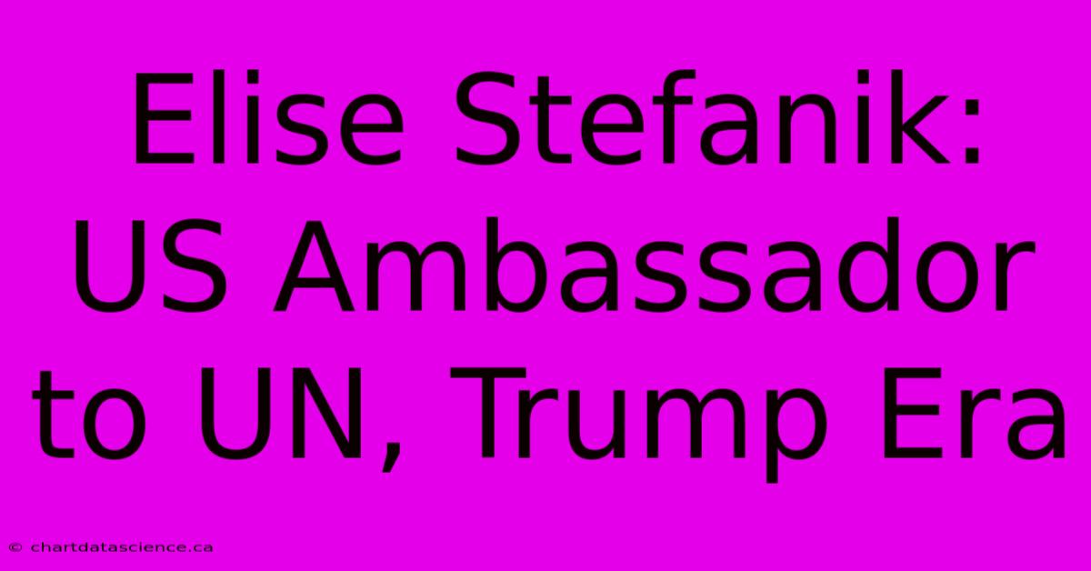 Elise Stefanik: US Ambassador To UN, Trump Era