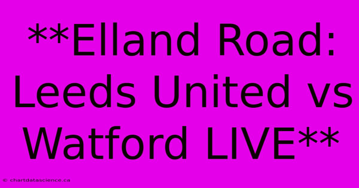 **Elland Road: Leeds United Vs Watford LIVE**