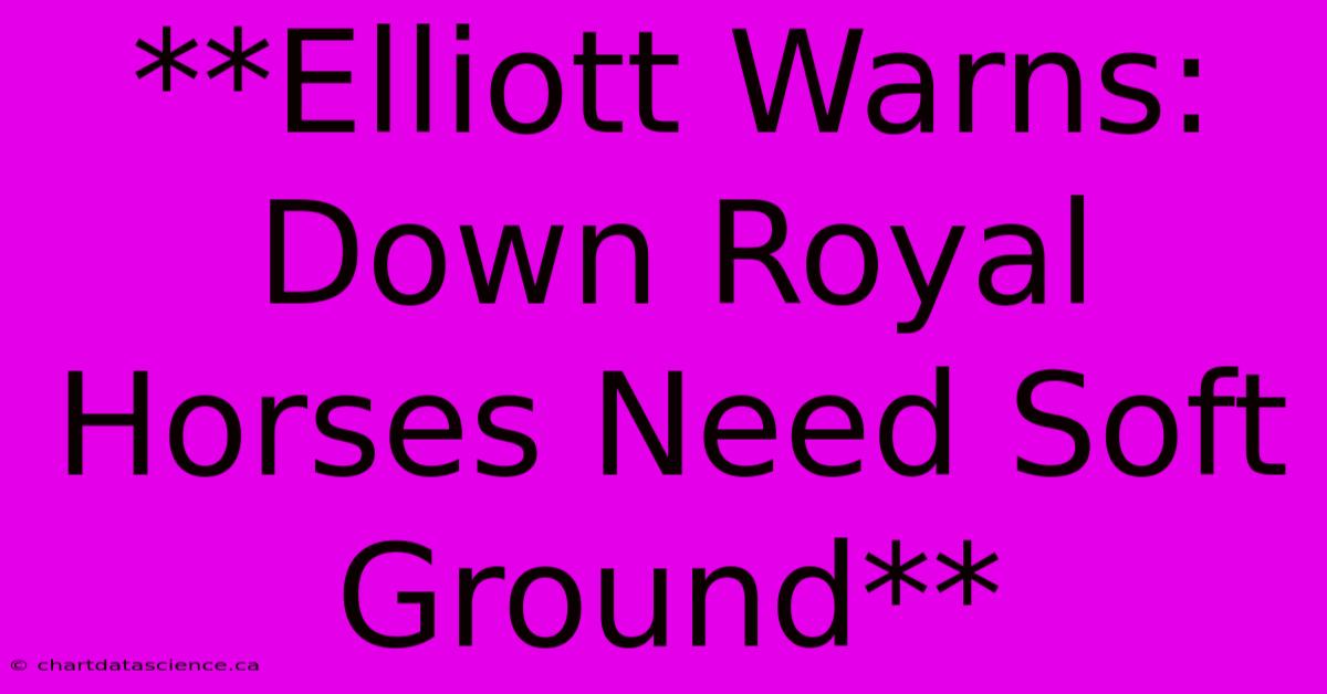 **Elliott Warns: Down Royal Horses Need Soft Ground**