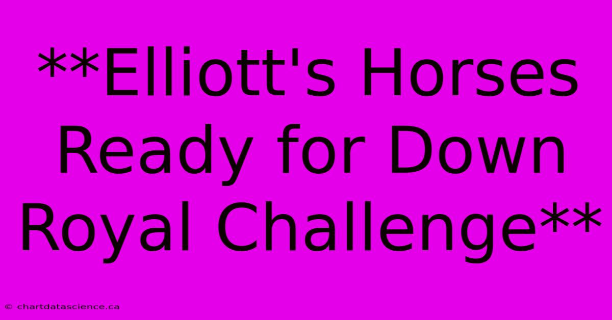 **Elliott's Horses Ready For Down Royal Challenge** 