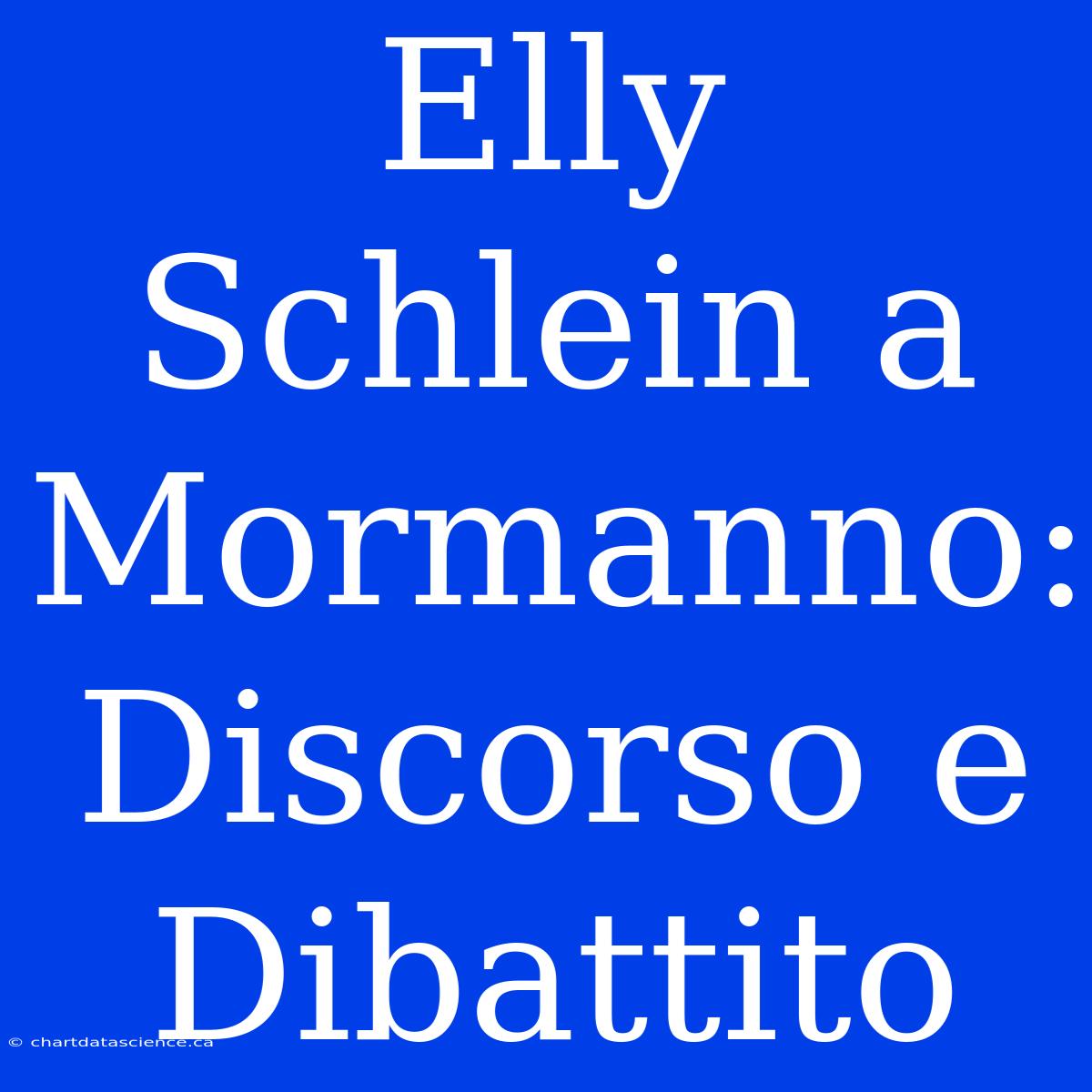 Elly Schlein A Mormanno: Discorso E Dibattito