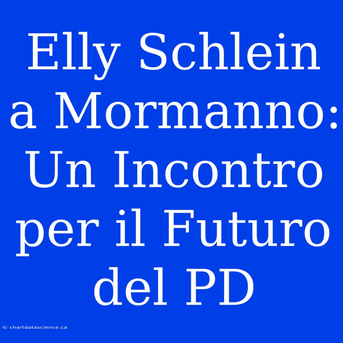 Elly Schlein A Mormanno: Un Incontro Per Il Futuro Del PD