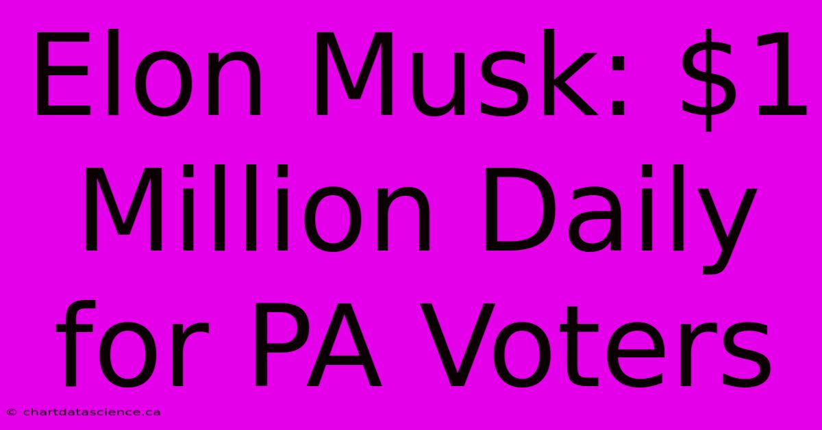 Elon Musk: $1 Million Daily For PA Voters