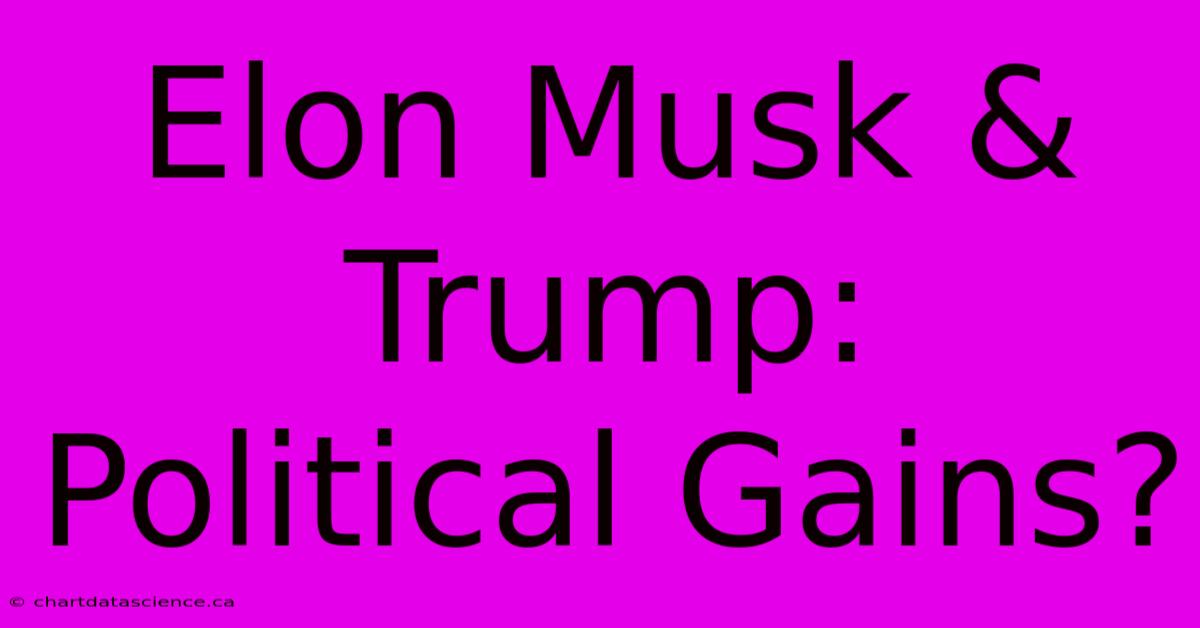 Elon Musk & Trump: Political Gains?