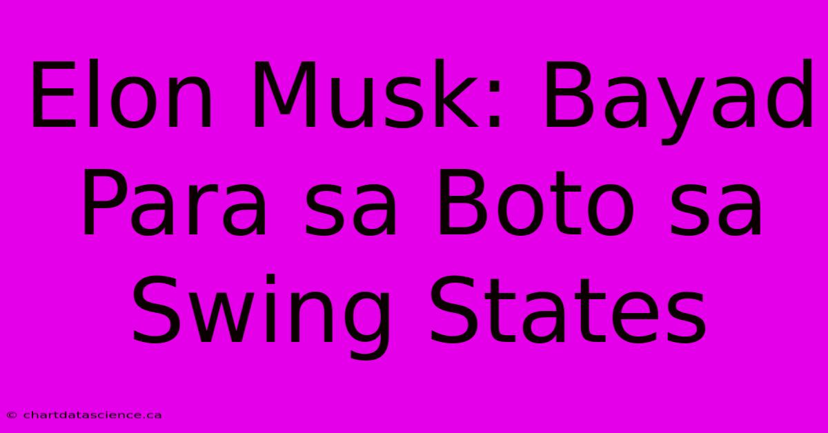 Elon Musk: Bayad Para Sa Boto Sa Swing States