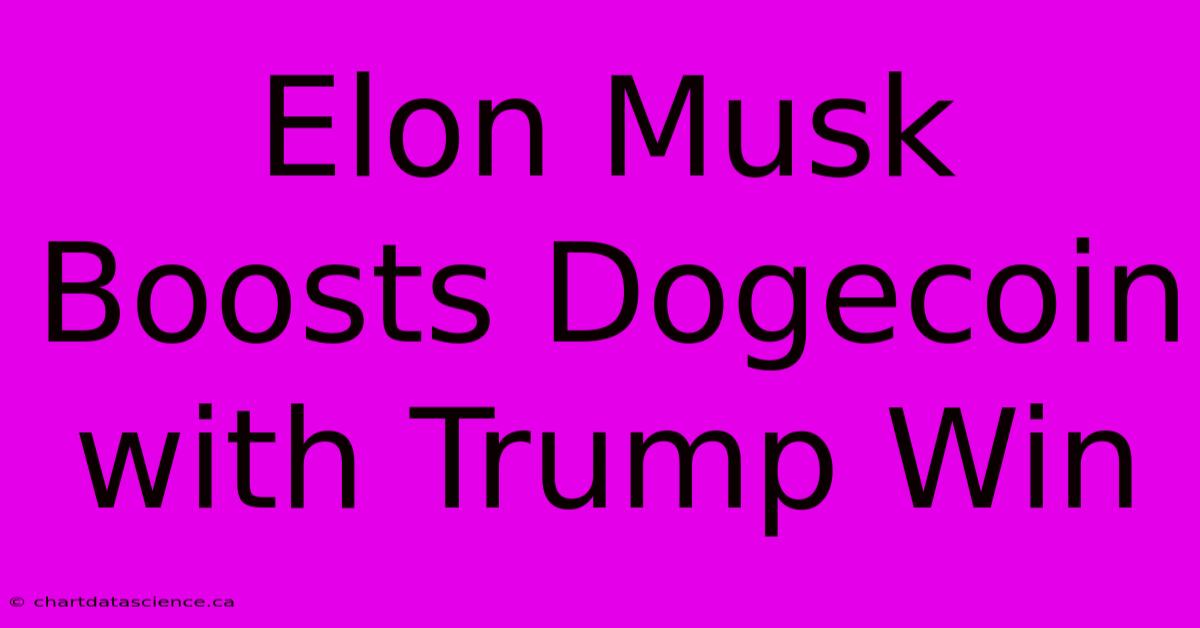 Elon Musk Boosts Dogecoin With Trump Win