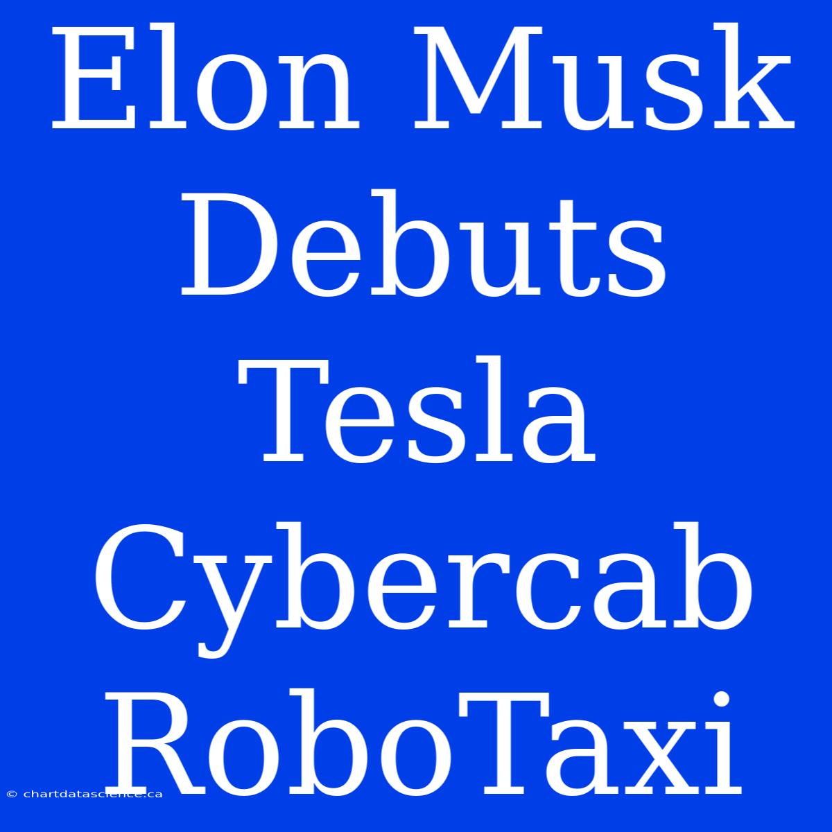 Elon Musk Debuts Tesla Cybercab RoboTaxi