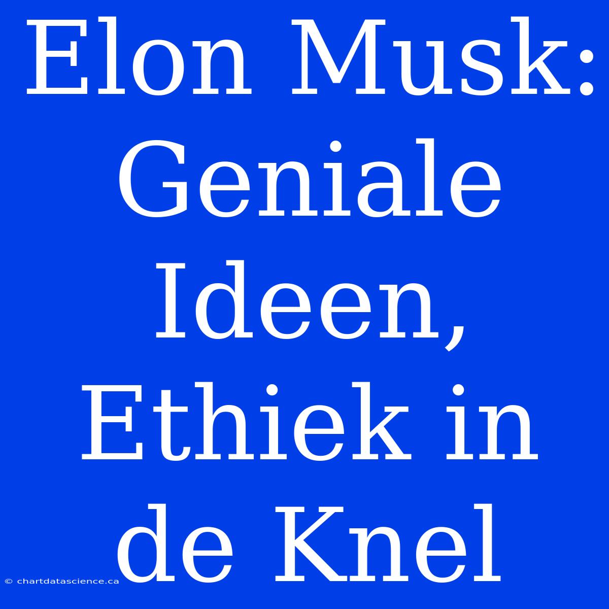 Elon Musk: Geniale Ideen, Ethiek In De Knel