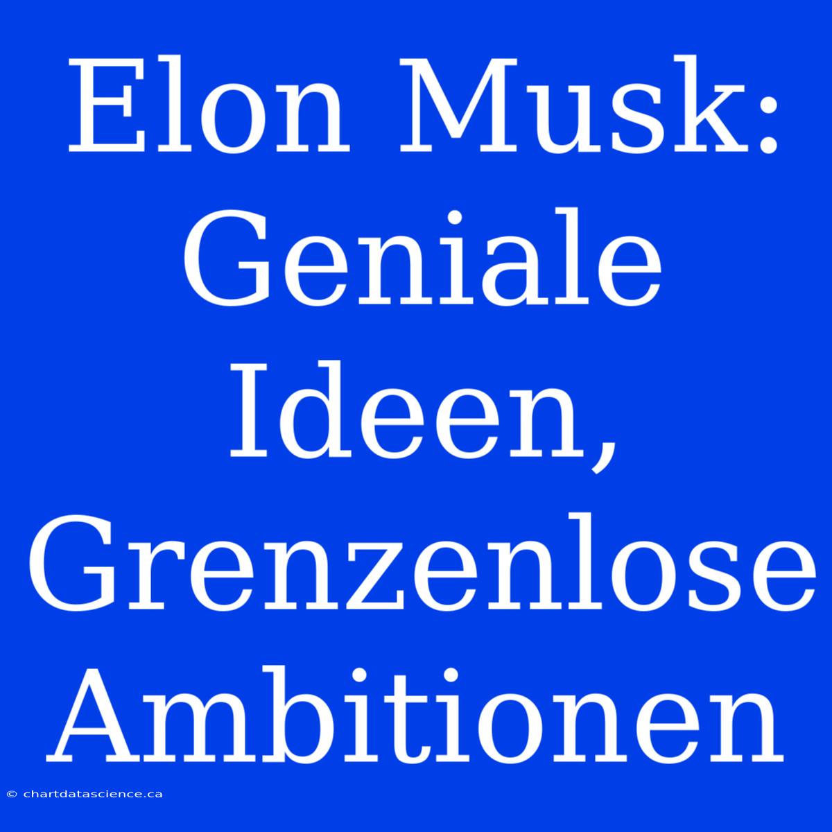 Elon Musk: Geniale Ideen, Grenzenlose Ambitionen