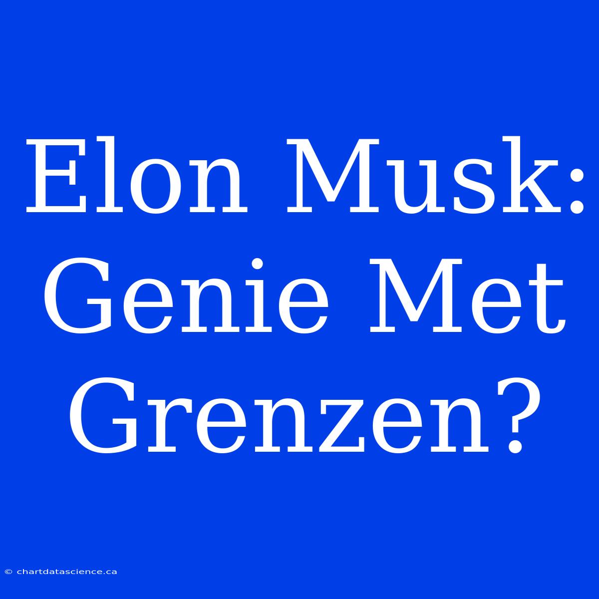 Elon Musk: Genie Met Grenzen?