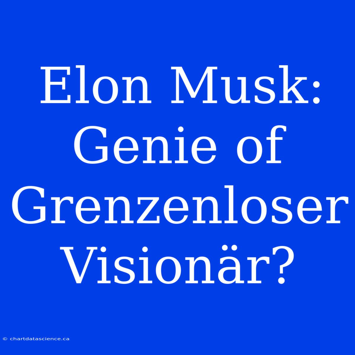 Elon Musk: Genie Of Grenzenloser Visionär?