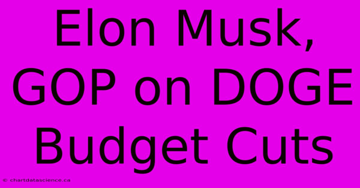 Elon Musk, GOP On DOGE Budget Cuts