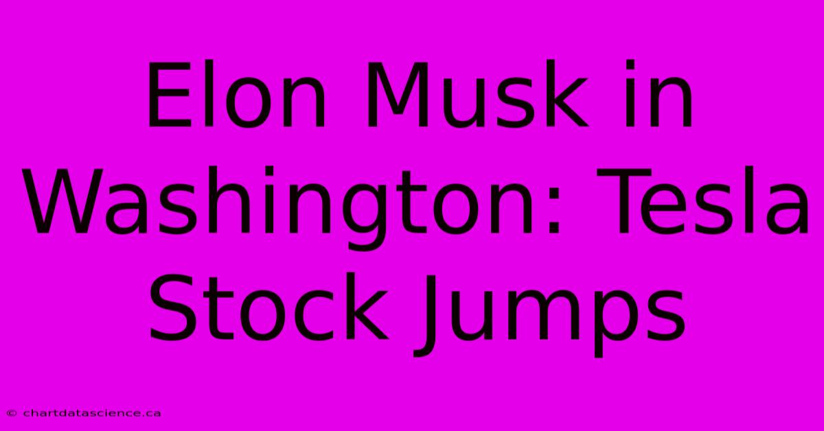 Elon Musk In Washington: Tesla Stock Jumps