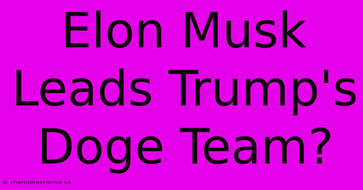 Elon Musk Leads Trump's Doge Team?