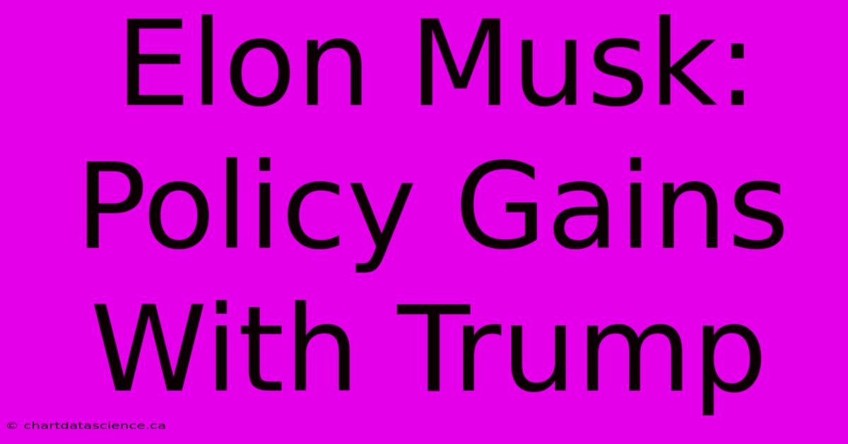 Elon Musk: Policy Gains With Trump