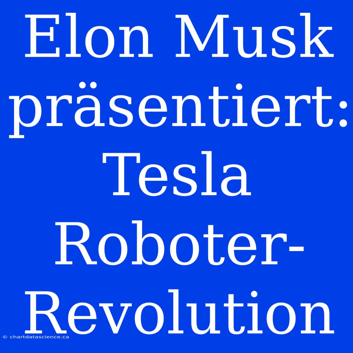 Elon Musk Präsentiert: Tesla Roboter-Revolution