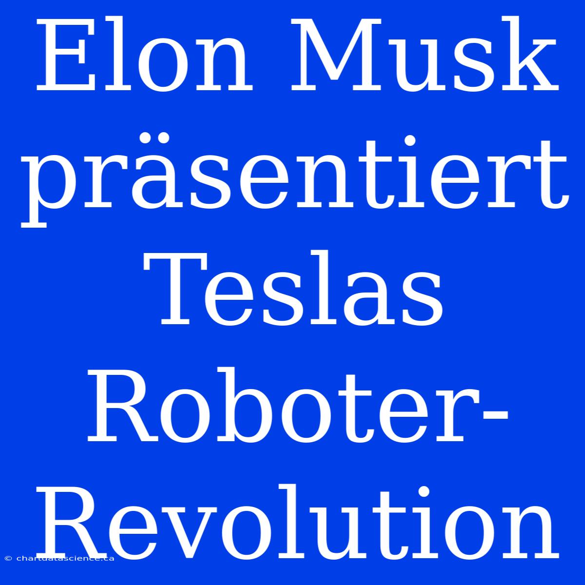 Elon Musk Präsentiert Teslas Roboter-Revolution