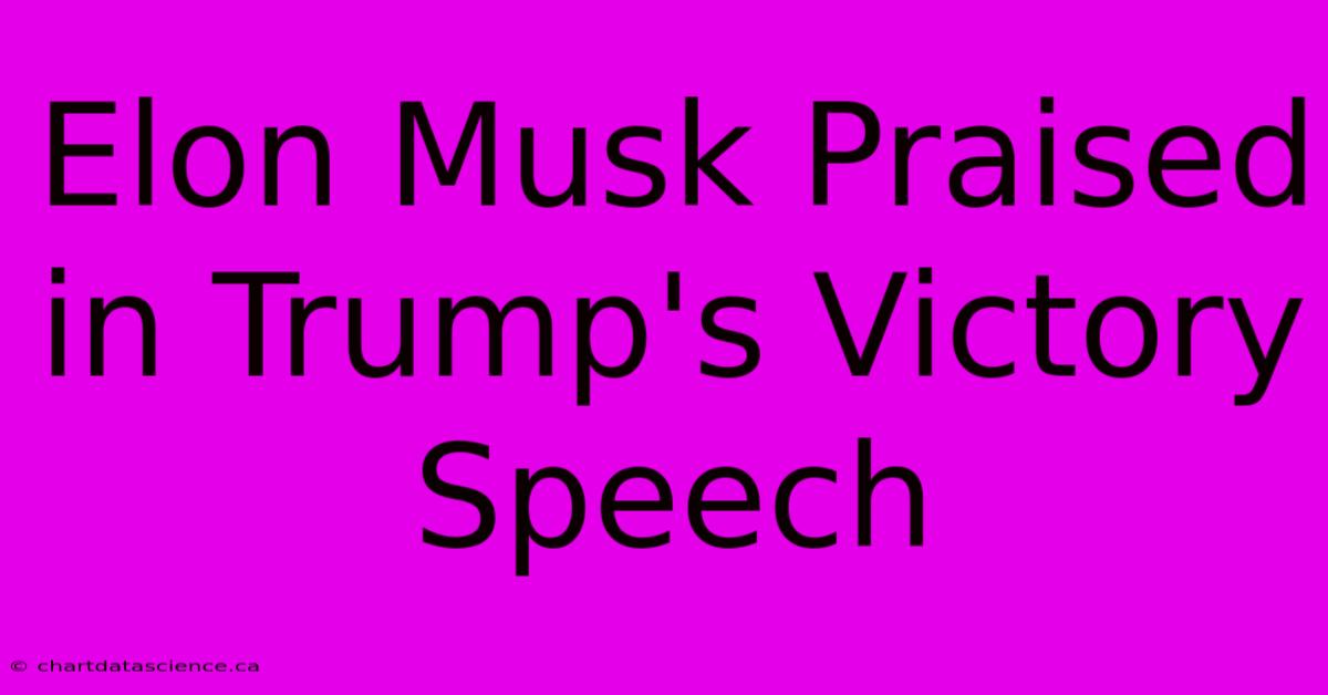 Elon Musk Praised In Trump's Victory Speech